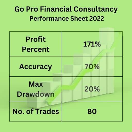 Go Pro Financial Consultancy Performance Sheet (2)
